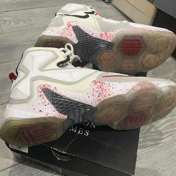 Lebrons - Picture 4 of 5